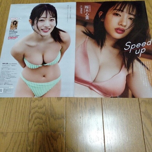 桜木心菜 切り抜き 私立恵比寿中学 7ページ