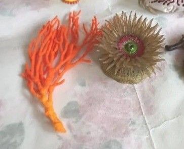 トラフカラッパ ミドリイソギンチャク ネイチャーテクニカラー うみべのいきもの フィギュア 蟹 カニ イソギンチャク 水族館