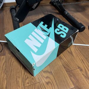 NIKE SB Premier Northern Lights