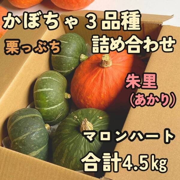 かぼちゃ3品種 4.5㎏ 食べ比べ 詰め合わせセット 栽培期間農薬不使用 朱里、マロンハート、栗っぷち 農家直送 セットA
