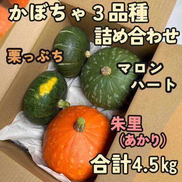 かぼちゃ3品種 4.5㎏ 食べ比べ 詰め合わせセット 栽培期間農薬不使用 朱里、マロンハート、栗っぷち 農家直送 セットB