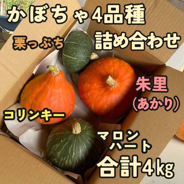 かぼちゃ4品種 4㎏ 食べ比べ 詰め合わせセット 栽培期間農薬不使用 朱里、マロンハート、コリンキー、栗っぷち 農家直送 セットE