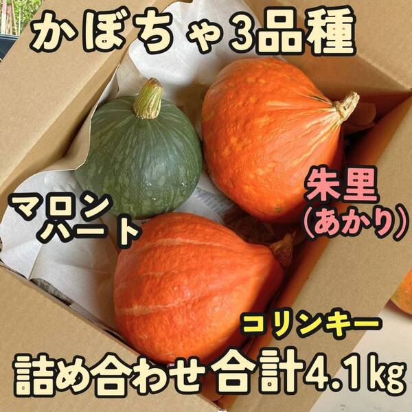 かぼちゃ3品種 4.1㎏ 食べ比べ 詰め合わせセット 栽培期間農薬不使用 朱里、マロンハート、コリンキー 農家直送 セットH