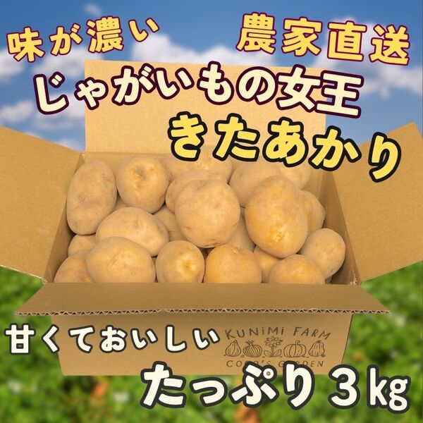 じゃがいもの女王 きたあかり たっぷり3㎏ 甘くておいしい 農家直送 土付き