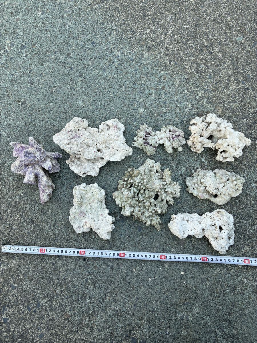 Yahoo!オークション -「デスロック」(住まい、インテリア) の