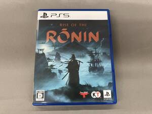 Rise of the Ronin