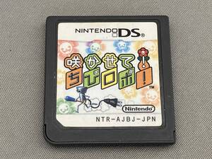 ニンテンドーDS 咲かせて!ちびロボ!
