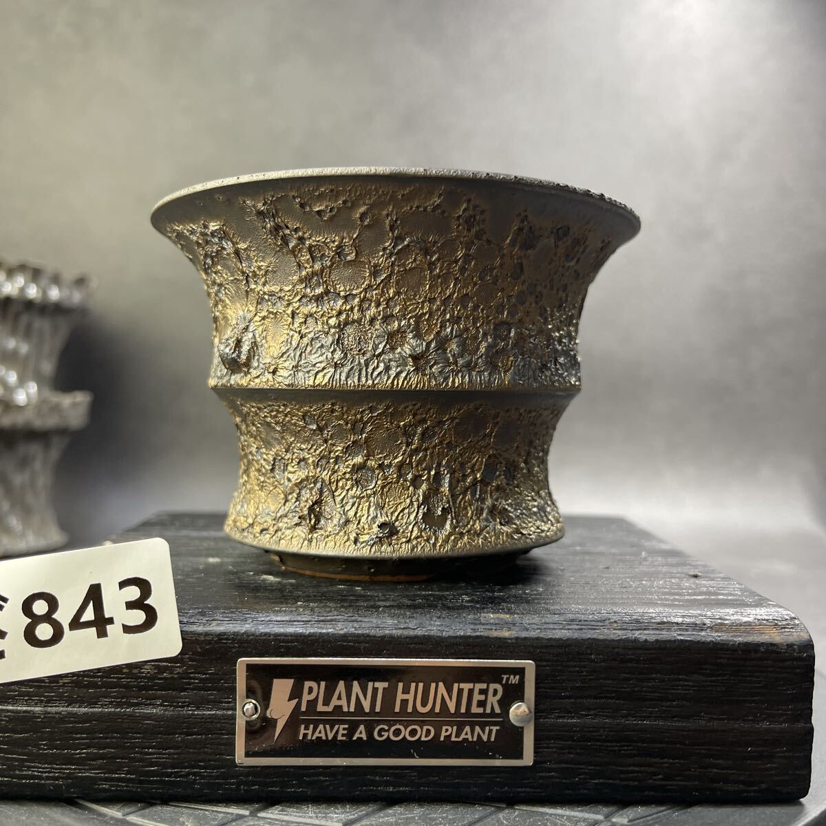 手作植木鉢 [オークション形式]即决14800円検（塊根植物 パキプス アガベ) 2025年最新】Yahoo!オークション -パキプス 鉢の中古品・新品