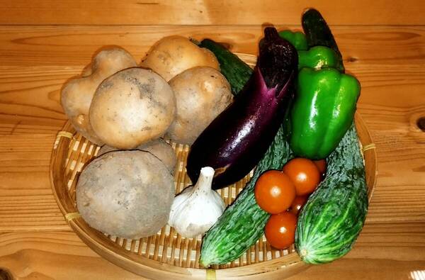 完全無農薬 じゃがいも+にんにく+季節の野菜のセット 60サイズ 土付き 茨城県