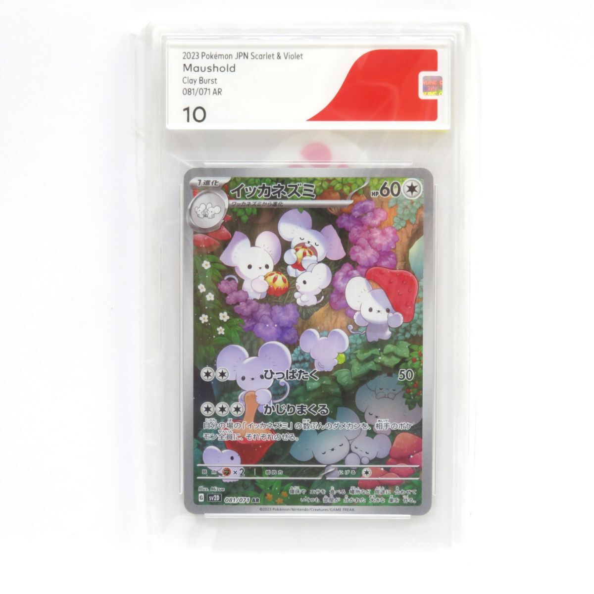 イッカネズミAR 11枚セット まとめ売り 2025年最新】Yahoo!オークション -イッカネズミ arの中古品