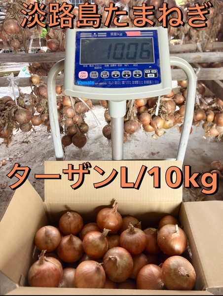 淡路島たまねぎ ターザン 秀品Lサイズ 10kg