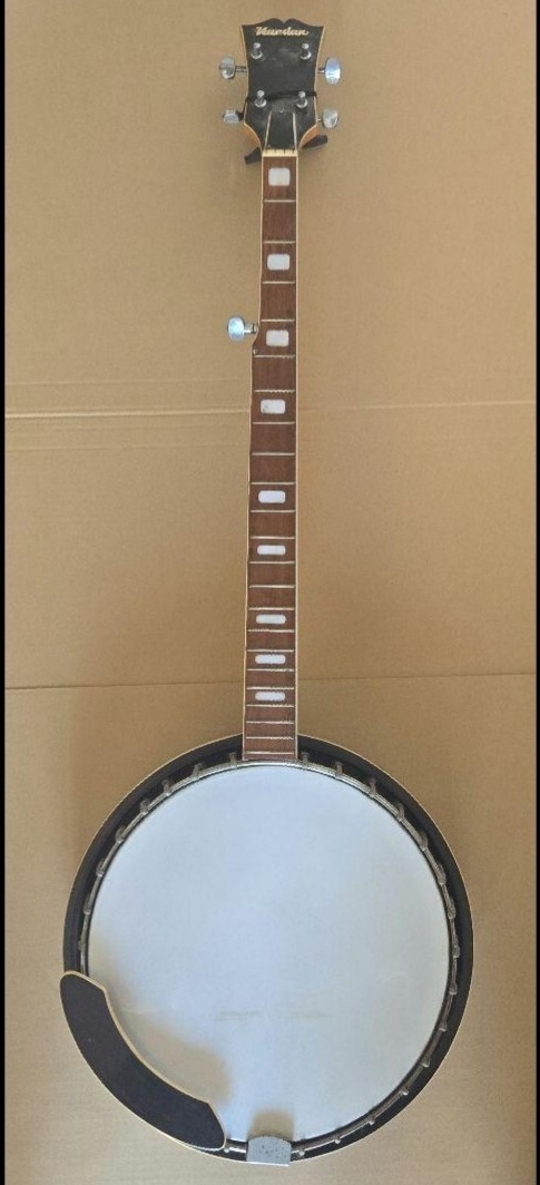 ★☆【大幅値下げしました！！】5弦バンジョー（ケース付き） 5弦 バンジョー」の人気商品一覧 | 安い商品を通販サイトから