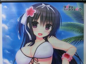 ワガママハイスペック WonderGOO 購入特典 鹿苑寺かおるこ B2タペストリー/宇都宮つみれ PS Vita