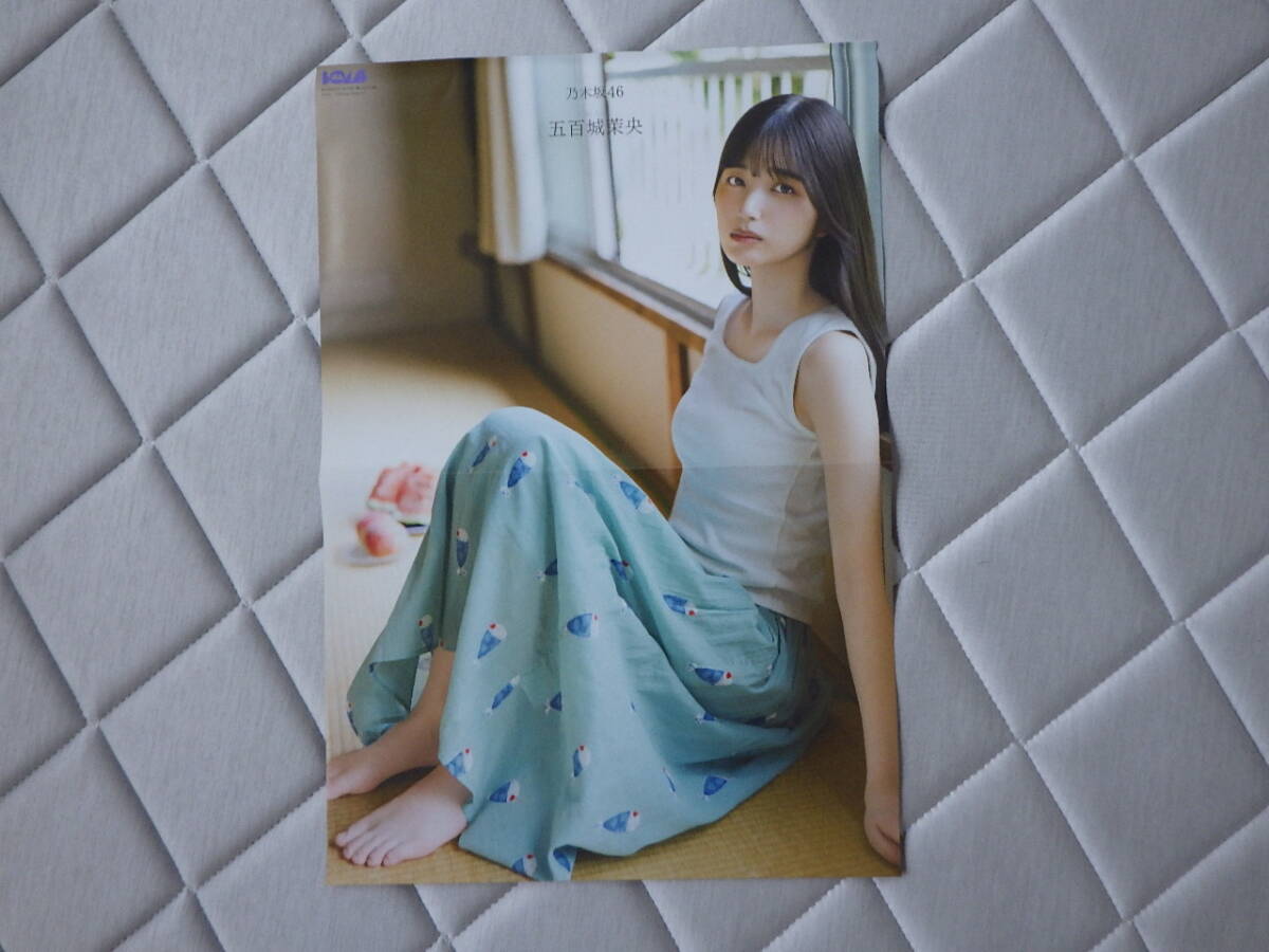 2025年最新】Yahoo!オークション -bomb 雑誌の中古品・新品・未