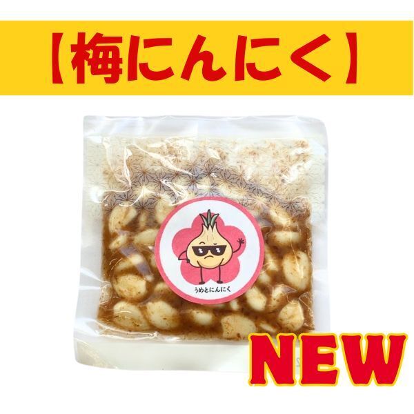 新商品 梅にんにく 送料無料 100g 真空パック入り 紀州南高梅 梅 にんにく ポスト投函 かつお風味 臭くない ご飯のお供に