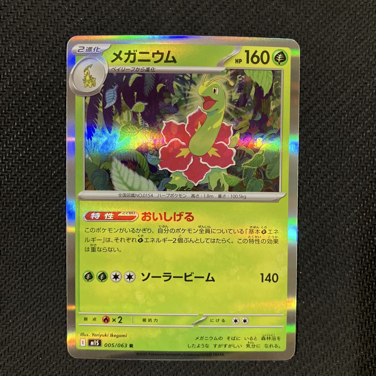 2025年最新】Yahoo!オークション -ポケモンカード メガニウム