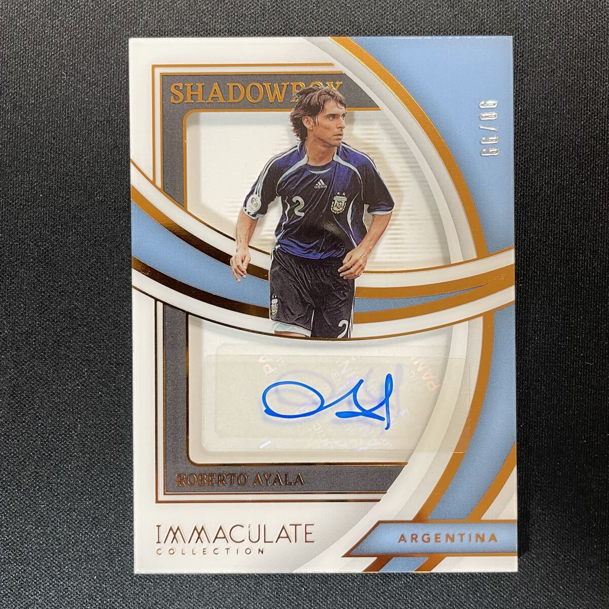 PANINI IMMACULATE ストイチコフ直筆サインカード 2025年最新】ストイチコフ サインカードの人気アイテム - メルカリ