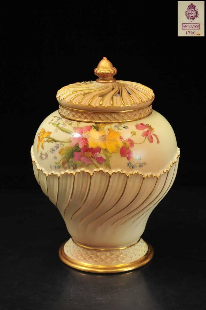 Yahoo!オークション -「ロイヤルウースター (blush ivory ブラッシュ