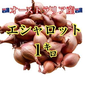 オーストラリア産 エシャロット 箱込み1.1キロ 送料無料