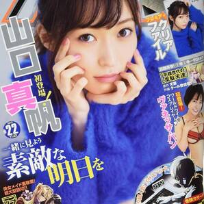 ヤングアニマル2019年11/22 22号