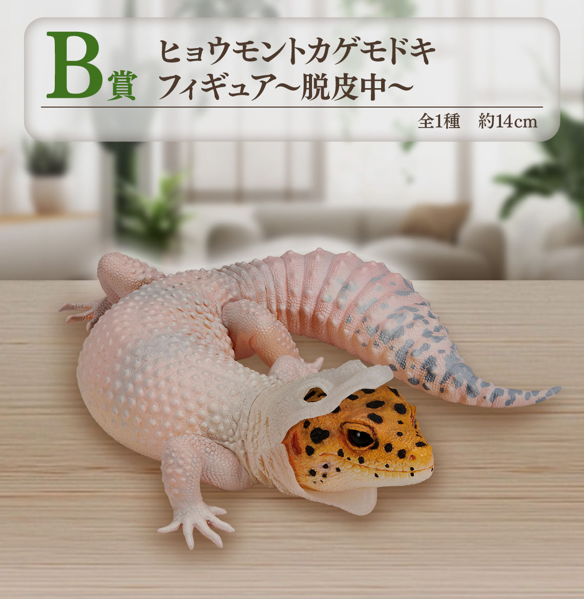 2025年最新】Yahoo!オークション -#ヒョウモンの中古品・新品