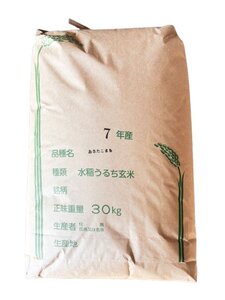 【あきたこまち玄米30kg】新米 令和7年度 埼玉県産 あきたこまち 玄米 30kg (30kg1袋) 未検査米 大粒米
