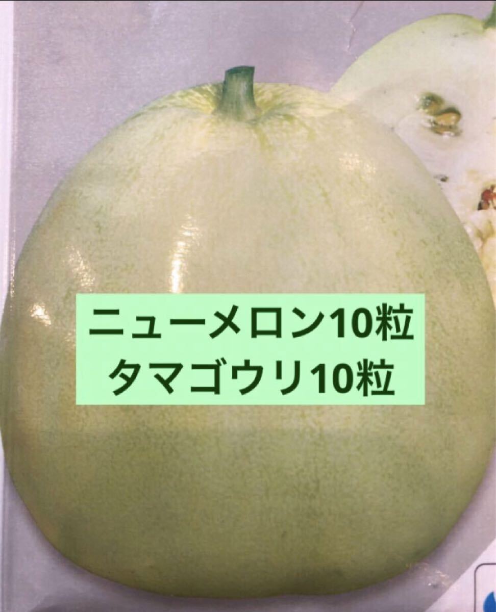 2025年最新】Yahoo!オークション -まくわうり メロン(花、園芸