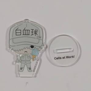 はたらく細胞■アクリルスタンド(白血球)■グッズ■送料無料