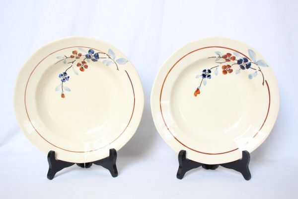 サルグミンヌ　ジャルディニエール平皿　2枚セット サルグミンヌ ジャルディニエール平皿 2枚セット - メルカリ