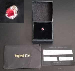 中古■Bloody Mary/ブラッディマリー ・ナットピアス(ガーネット)