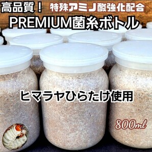 ネット売り上げNo.1 ヒマラヤひらたけ 菌糸瓶 800ml【5本セット】トレハロース、ローヤルゼリー、酵母菌、ミネラル、キトサン強化配合