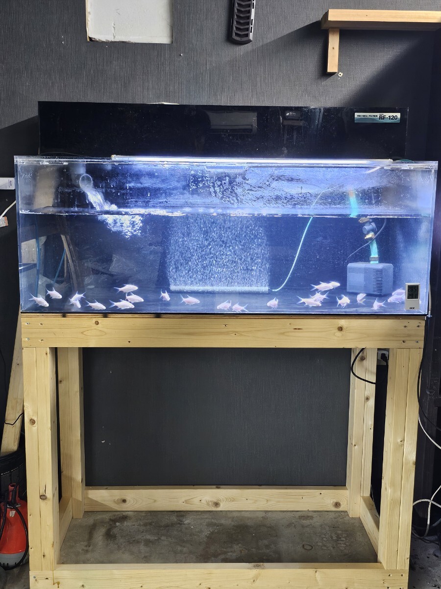中古1200アクリル水槽 上部フィルター LEDライト付き 2025年最新】Yahoo!オークション -アクリル水槽(魚、水草)の中古
