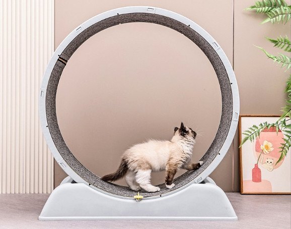 2025年最新】Yahoo!オークション -キャットホイールの中古品