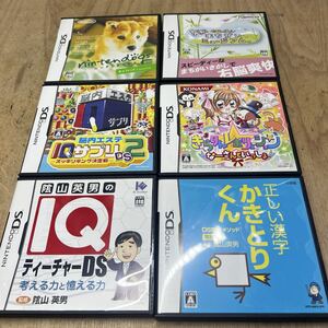 ニンテンドーDSソフト ニンテンドッグス まちがいミュージアム IQサプリ2 IQティーチャーDS きらりんレボリューション かきとりくん 6本①