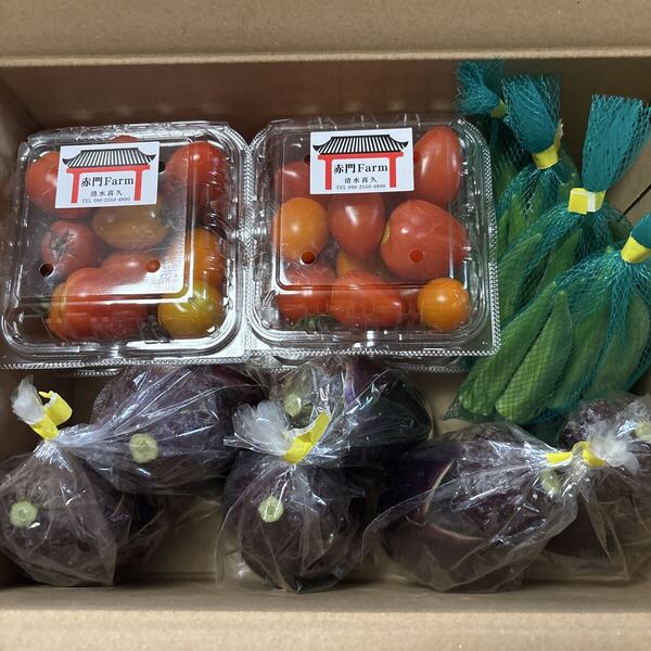 赤門farm野菜セット(ミニトマト4パック、水茄子2個入り3袋、オクラ4ネット)*セットはまだあります。
