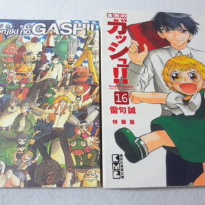 _やや難 金色のガッシュ文庫版 特装版 16巻のみ ミニ画集つき mini