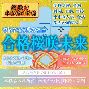 【合格桜咲未来 本格祈祷】お守り 学校 受験 資格 子供 家族 良報縁結び 合格引き寄せ 形代