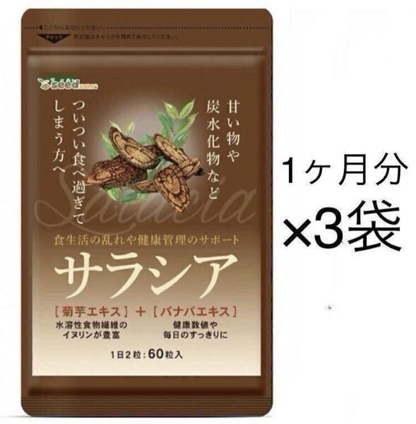 ★送料無料★サラシア 約3ヶ月分 1ヶ月分60粒入り×3袋)サプリメント シードコムス ダイエット サラシア茶 炭水化物 菊芋 イヌリン