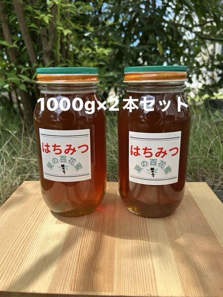 国産 純粋ハチミツ 夏の百花蜜 1000g×2(ビン2本セット)☆抗生物質不使用の安心・安全な本物のハチミツ