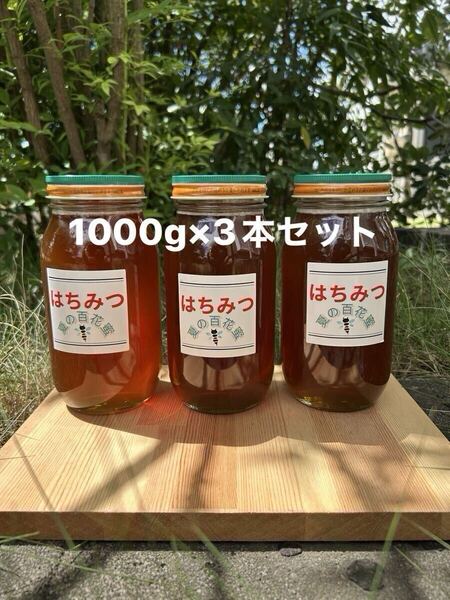 国産 純粋ハチミツ 夏の百花蜜 1000g×3(ビン3本セット)☆抗生物質不使用の安心・安全な本物のハチミツ