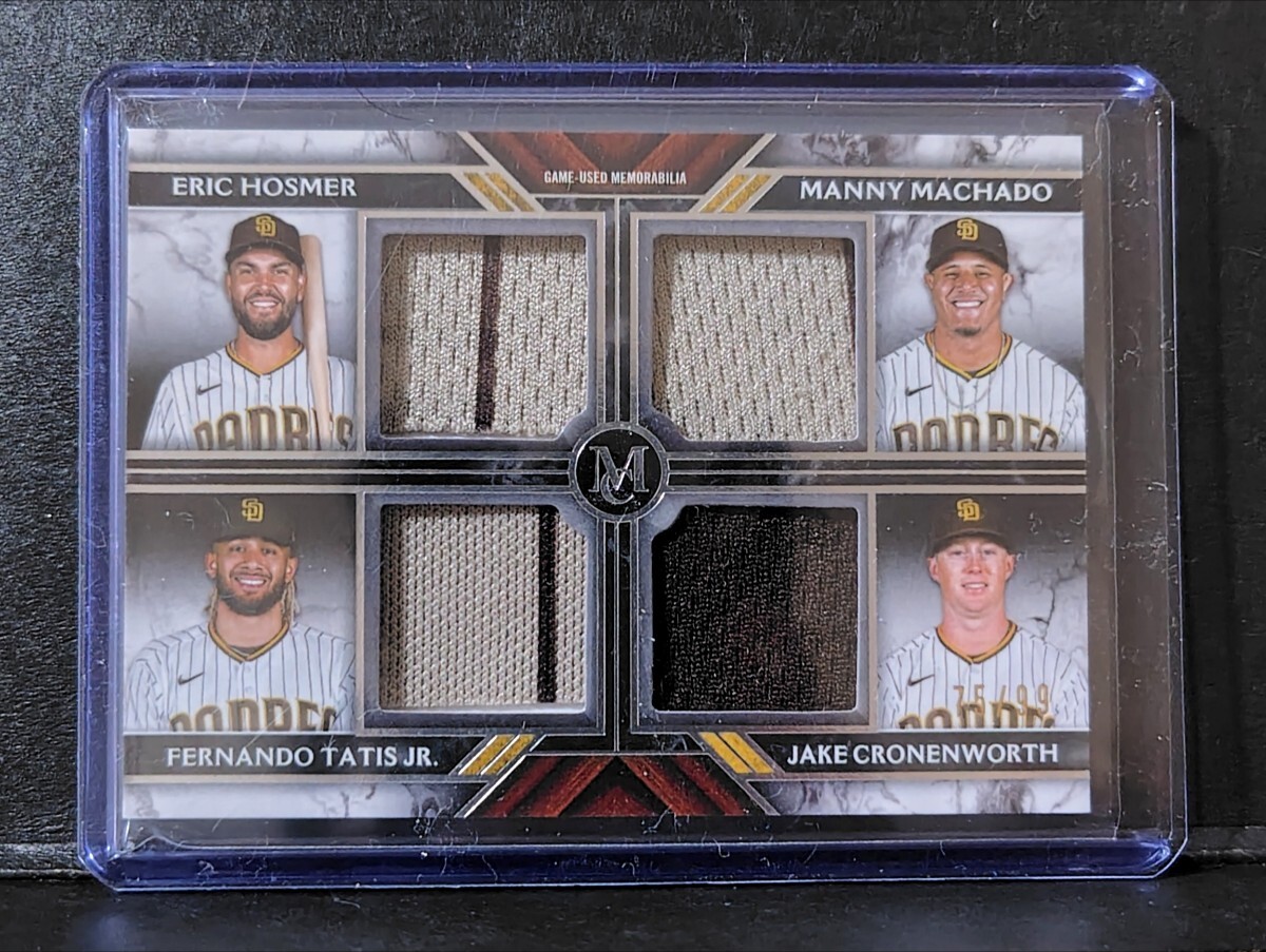 巨大)霊芝　灵芝　サルノコシカケ　固定台座付き　骨董品 2025年最新】Yahoo!オークション -サルノコシカケ 霊芝