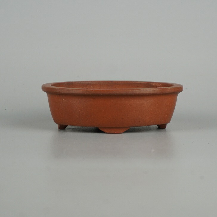 盆栽鉢、大型盆栽鉢、常滑焼、紅泥赤色梨皮鉢、植木鉢、落款あり、