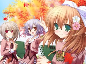 【中古】エターナル・エチュード Canvas4(限定版) - PSP