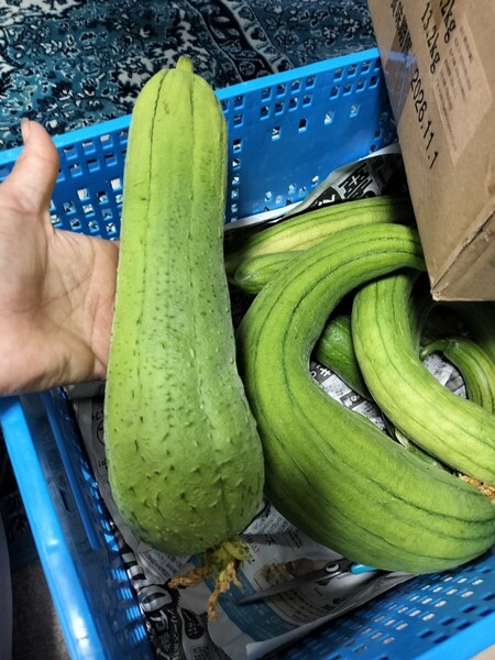 無農薬ヘチマ2キロ新鮮