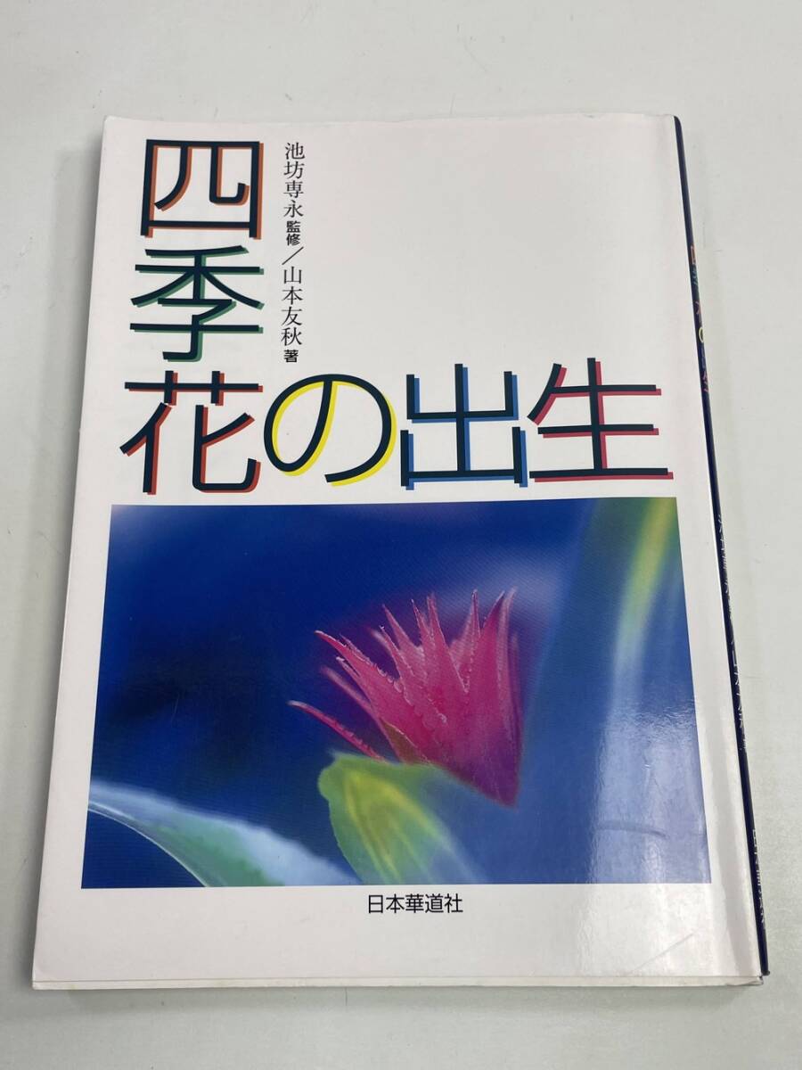 【中古】 池坊行事の花/小学館/池坊専永 2025年最新】Yahoo!オークション -池坊専永の中古品・新品・未