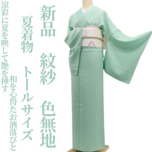 tomihisa 新品 紋紗 夏着物 正絹“涼彩に夏を映して艶を挿す和を心得たお洒落びと”仕付け糸付 トールサイズ 色無地 6590