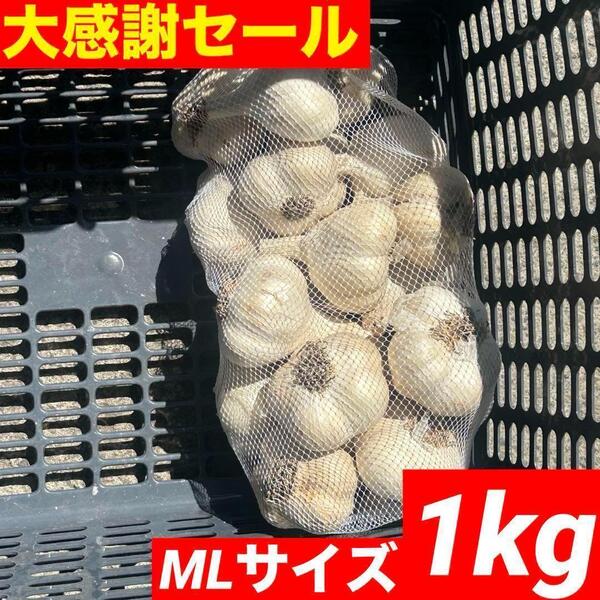 【大感謝セール】新物 青森県産 にんにく ML 1kg 福地ホワイト 激安