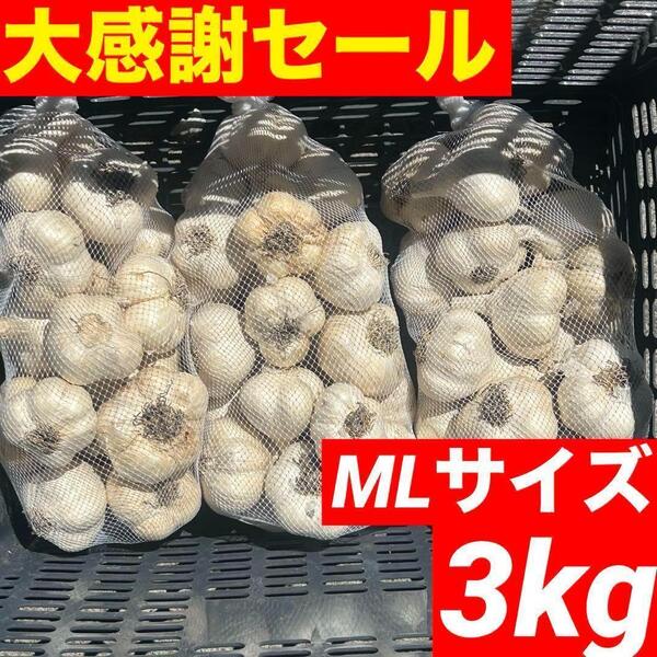 【大感謝セール】新物 青森県産 にんにく ML 3kg 福地ホワイト 加工 激安