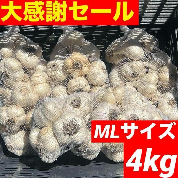 【大感謝セール】新物 青森県産 にんにく ML 4kg福地ホワイト 加工 激安