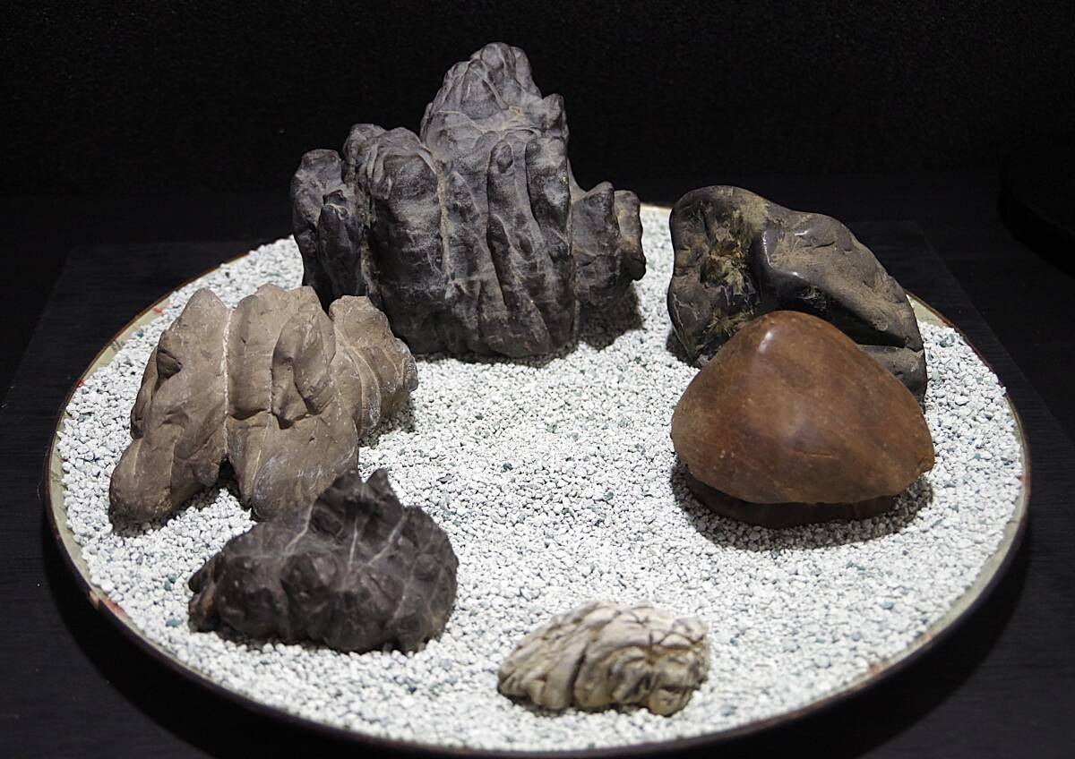 鑑賞石天然石盆石水石(14) 水石 「千仏石」 盆石 天然石 観賞石 姿石 すいせき 台座付き